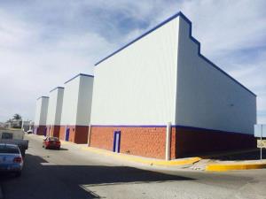 Bodega en renta en Villa Florida, Torreón — foto 3 de 8