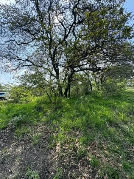 Terreno en venta en Rancho San Juan, Atizapán de Zaragoza — foto 3 de 8