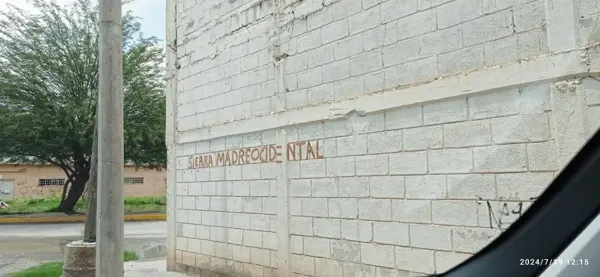 Terreno en venta en La Rosita, Torreón — foto 3 de 6