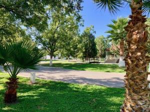 Terreno en venta en San Armando, Torreón — foto 2 de 12