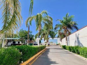 Terreno en venta en San Armando, Torreón — foto 3 de 12