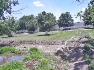 Terreno en venta en San Armando, Torreón — foto 3 de 5