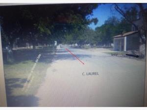 Terreno en venta en San Armando, Torreón — foto 3 de 4