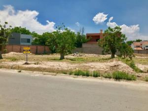 Terreno en venta en Real del Nogalar, Torreón — foto 3 de 14