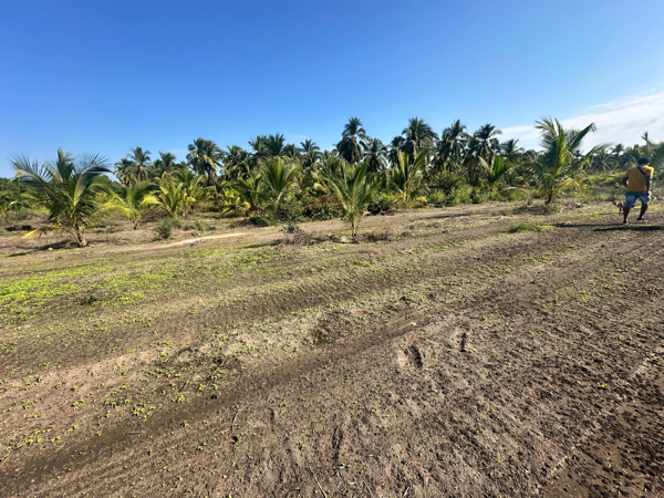 Terreno en venta en Feliciano, La Unión de Isidoro Montes de Oca — foto 3 de 13