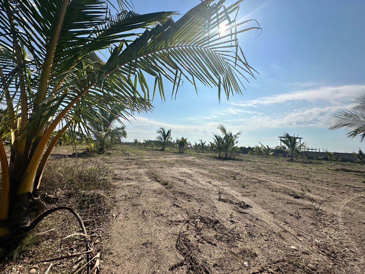 Terreno en venta en Feliciano, La Unión de Isidoro Montes de Oca — foto 1 de 13