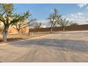 Terreno en venta en La Barranca, Torreón — foto 3 de 5