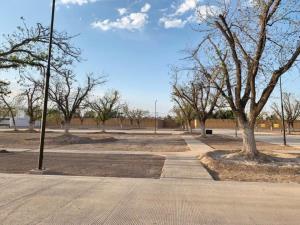 Terreno en venta en La Barranca, Torreón — foto 3 de 5
