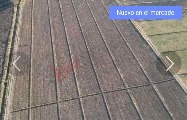 Terreno en venta en 6 de Enero [Gasolinera], Lerdo — foto 2 de 5