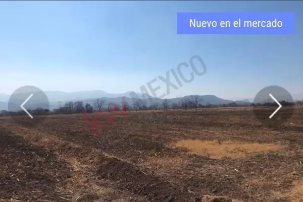 Terreno en venta en 6 de Enero [Gasolinera], Lerdo — foto 3 de 5