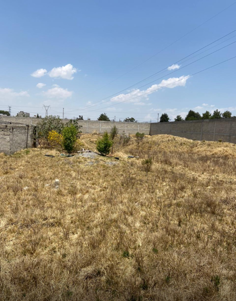 Terreno en venta en La Concepción, San Mateo Atenco — foto 3 de 5