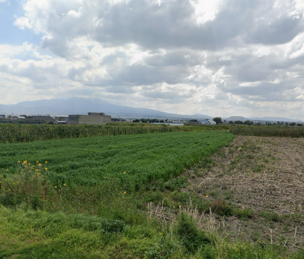 Terreno en venta en San Miguel Totocuitlapilco, Metepec — foto 2 de 2