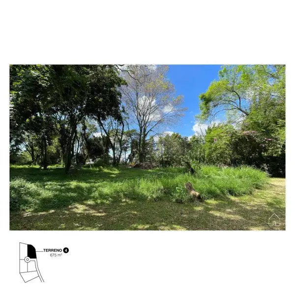 Terreno en venta en Briones, Coatepec — foto 3 de 7