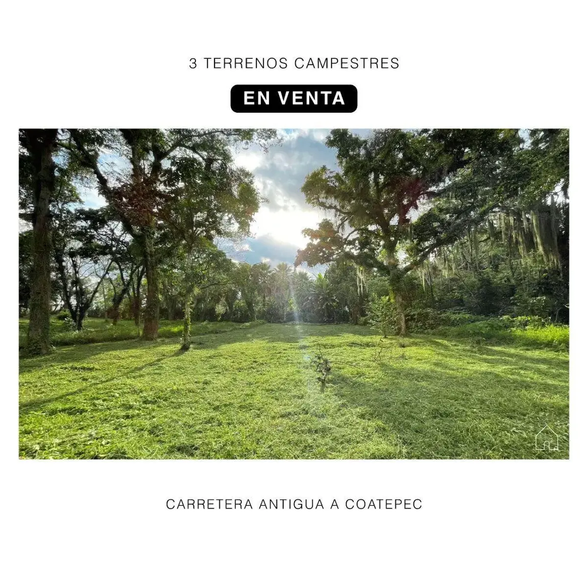 Terreno en venta en Briones, Coatepec — foto 1 de 7