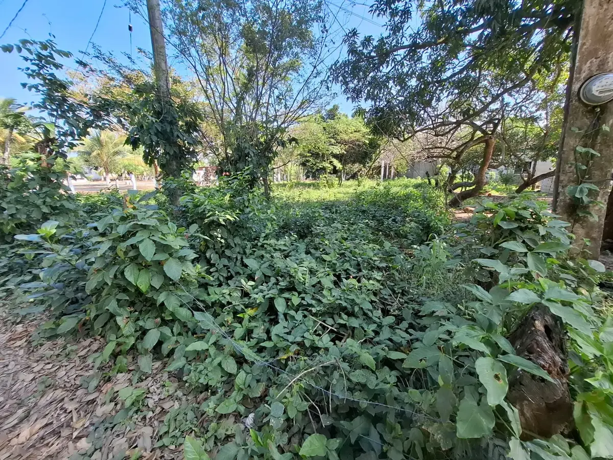 Terreno en venta en Playa de Vacas, Medellín de Bravo — foto 1 de 8