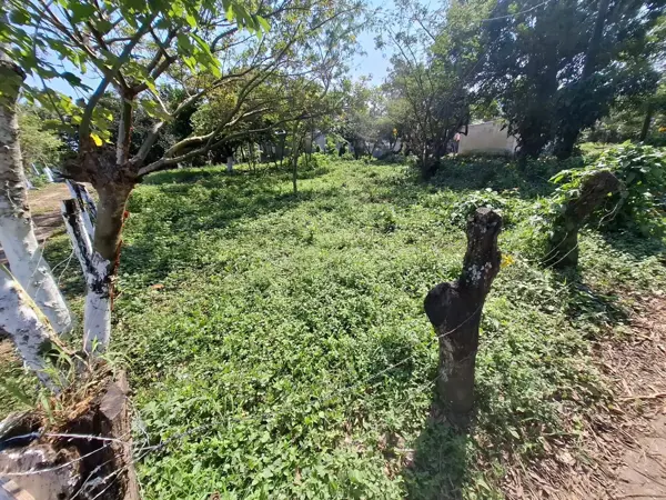 Terreno en venta en Playa de Vacas, Medellín de Bravo — foto 2 de 8