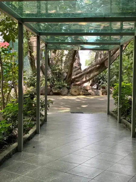 Departamento en renta en Potrero Verde, Cuernavaca — foto 2 de 27
