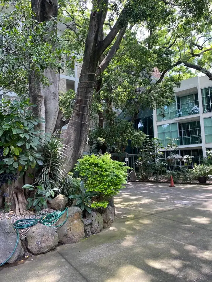Departamento en renta en Potrero Verde, Cuernavaca — foto 1 de 27