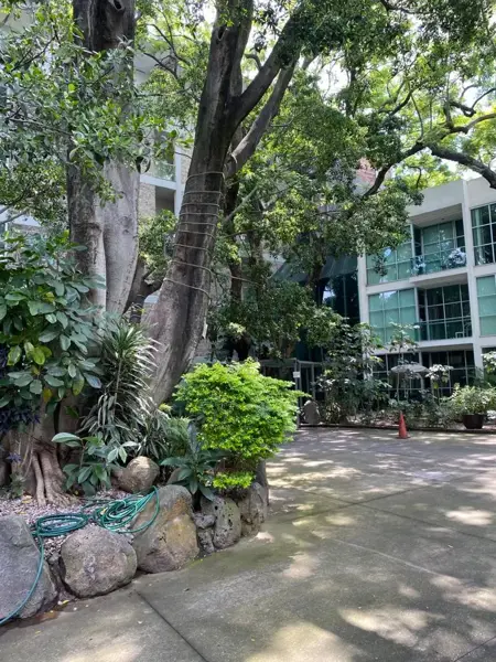 Departamento en renta en Potrero Verde, Cuernavaca, Morelos Departamento en renta en Potrero Verde, Cuernavaca, Morelos