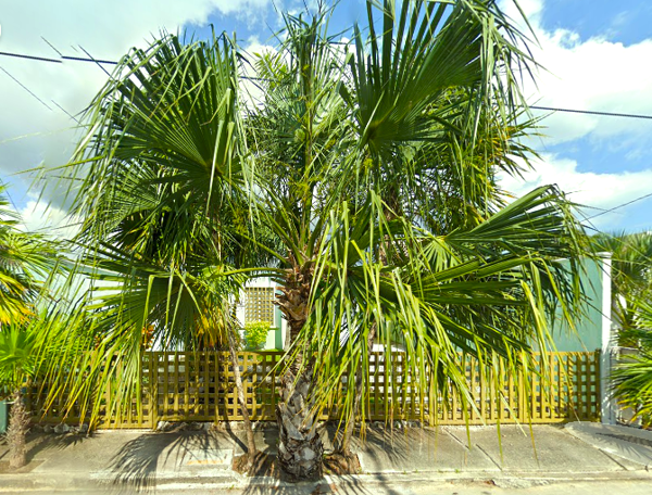 Casa en venta en Puerto Morelos, Puerto Morelos — foto 3 de 22