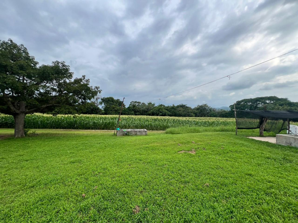 Finca-Rancho en venta en Cintalapa de Figueroa Centro, Cintalapa de Figueroa — foto 3 de 10