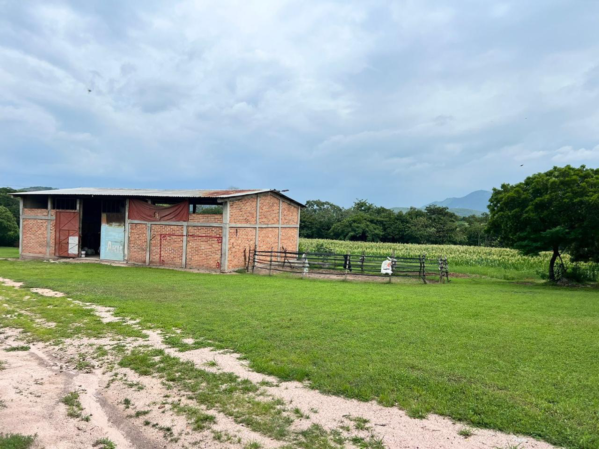 Finca-Rancho en venta en Cintalapa de Figueroa Centro, Cintalapa de Figueroa — foto 1 de 10
