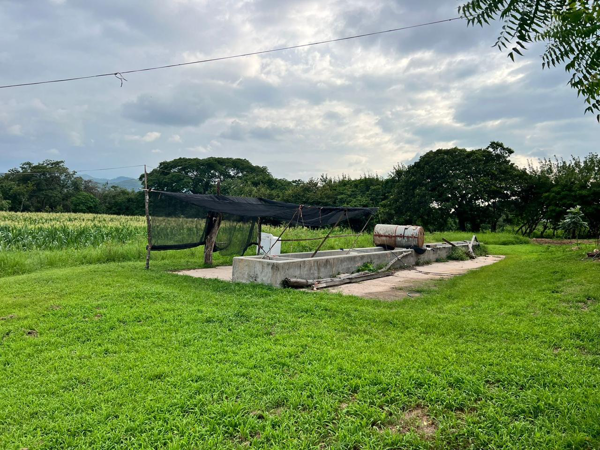 Finca-Rancho en venta en Cintalapa de Figueroa Centro, Cintalapa de Figueroa — foto 2 de 10