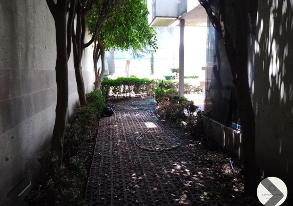 Casa en venta en Parque San Andres, Coyoacán — foto 3 de 18
