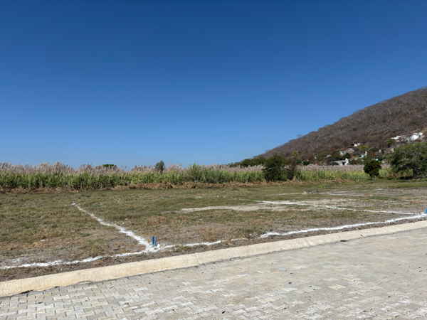 Terreno en venta en Leopoldo Heredia, Ayala — foto 2 de 6