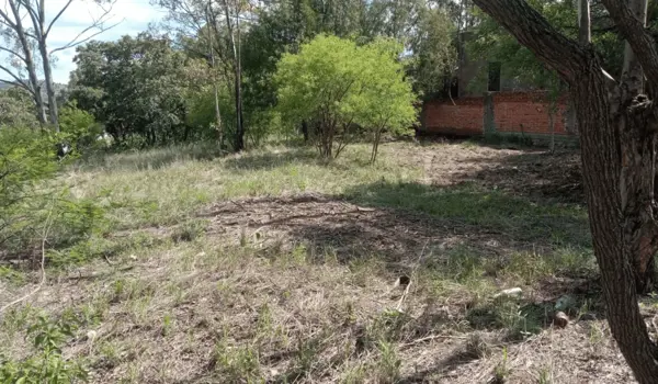 Terreno en venta en Campestre Haras, Amozoc — foto 3 de 8