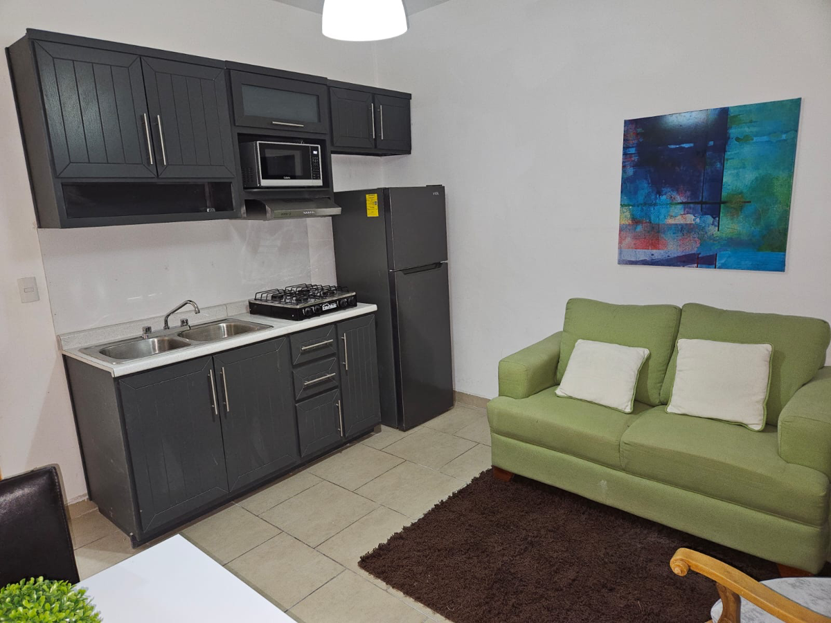Departamento en renta en Las Lomas, Torreón — foto 1 de 8