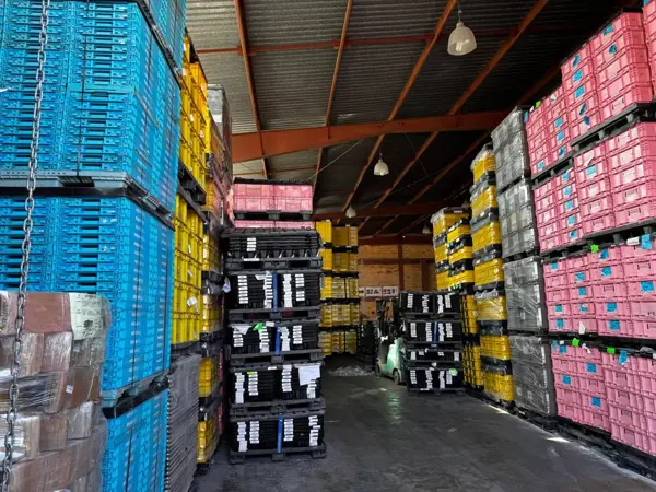 Bodega en venta en San Isidro de las Palomas, Arteaga — foto 2 de 41
