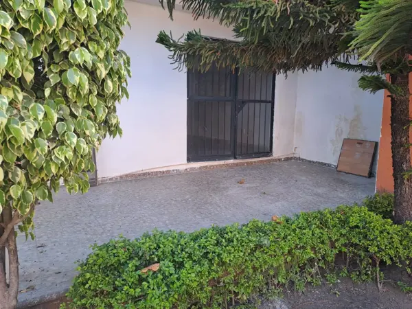 Casa en renta en Jardín Tetela, Cuernavaca — foto 3 de 42