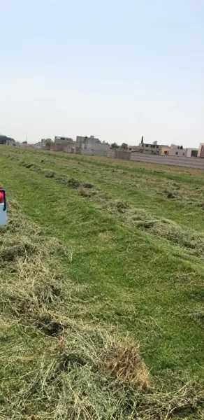 Terreno en venta en San Rafael Tlanalapan, San Martín Texmelucan — foto 3 de 4