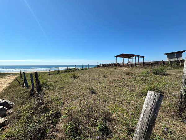 Terreno en venta en Feliciano, La Unión de Isidoro Montes de Oca — foto 3 de 4