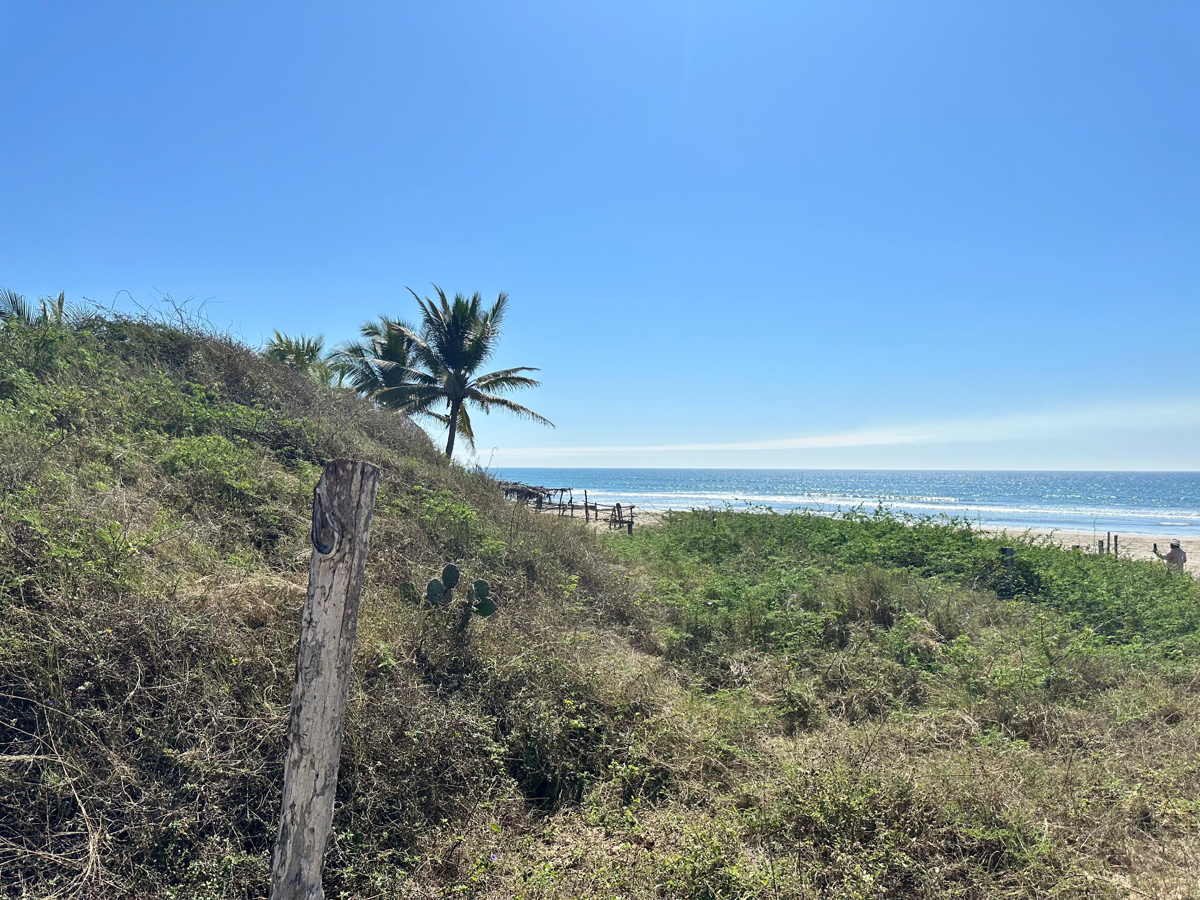 Terreno en venta en Feliciano, La Unión de Isidoro Montes de Oca — foto 1 de 4