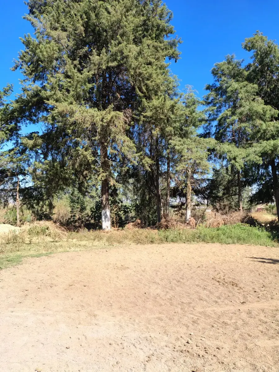 Terreno en venta en Nativitas, Xochimilco — foto 1 de 12