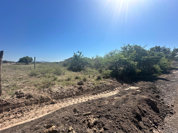 Terreno en venta en Feliciano, La Unión de Isidoro Montes de Oca — foto 3 de 4