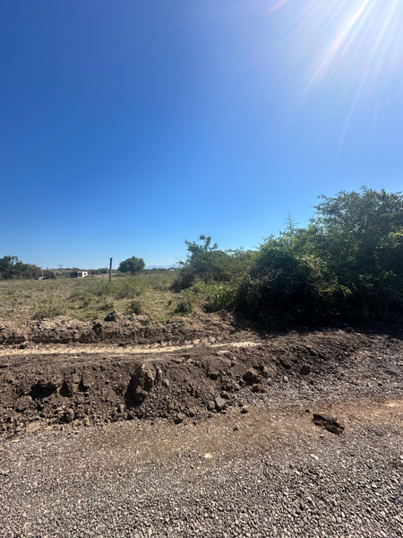 Terreno en venta en Feliciano, La Unión de Isidoro Montes de Oca — foto 2 de 4