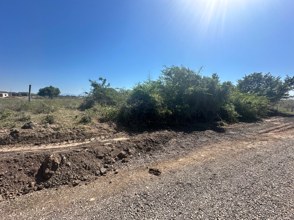 Terreno en venta en Feliciano, La Unión de Isidoro Montes de Oca — foto 1 de 4