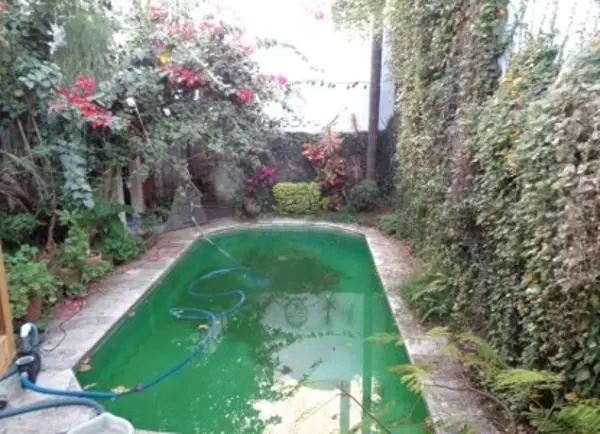 Casa en renta en Vista Hermosa, Cuernavaca — foto 2 de 5