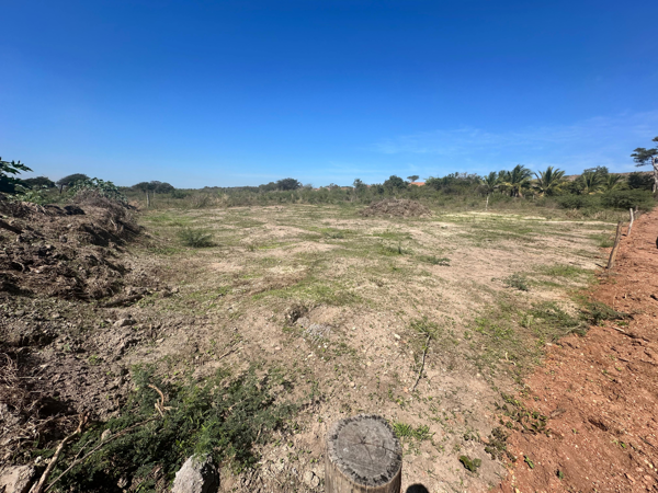 Terreno en venta en Feliciano, La Unión de Isidoro Montes de Oca — foto 3 de 5