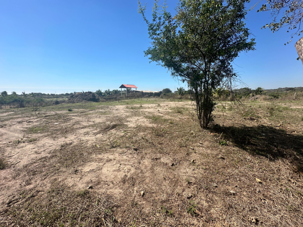 Terreno en venta en Feliciano, La Unión de Isidoro Montes de Oca — foto 3 de 3