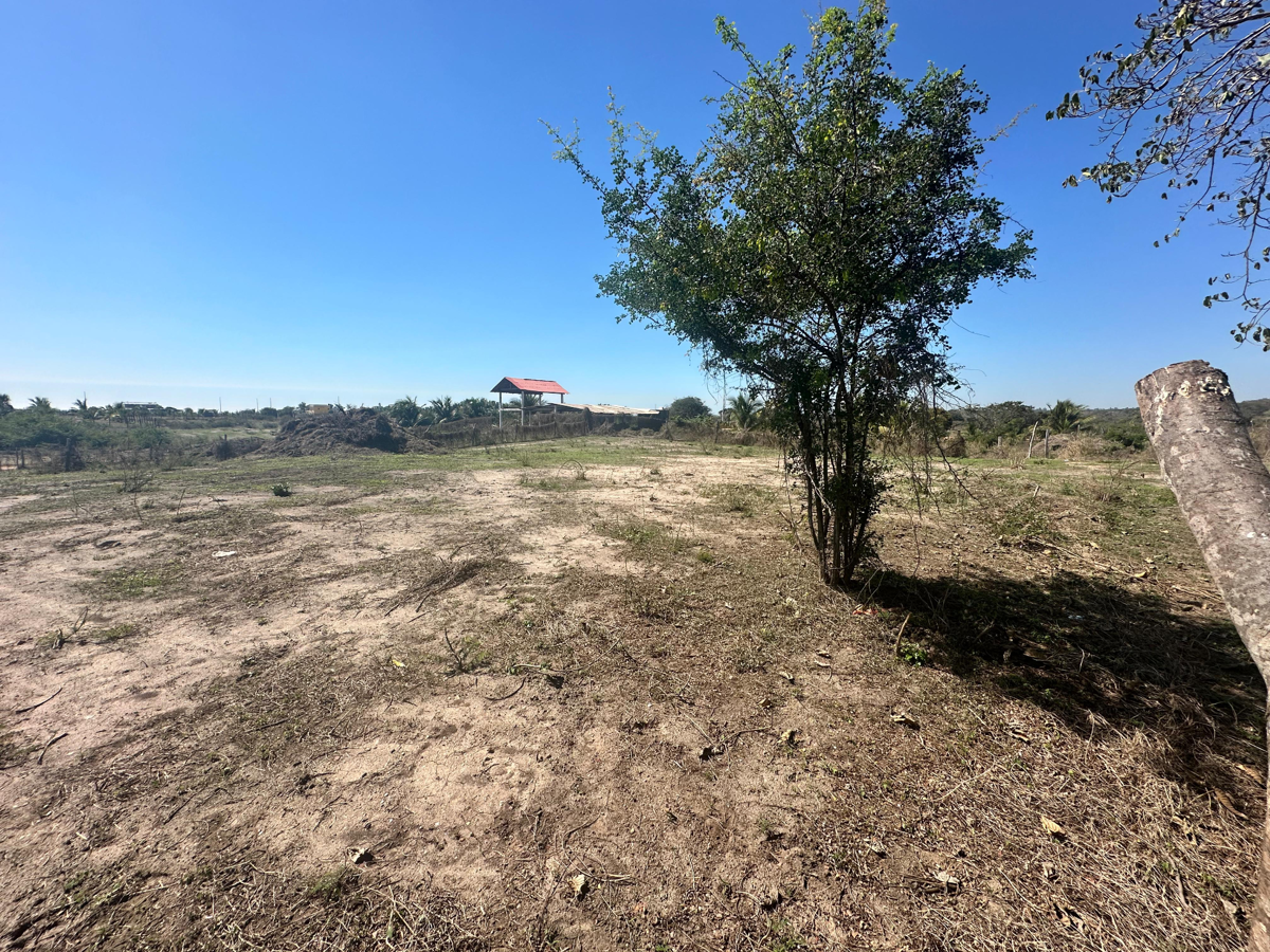 Terreno en venta en Feliciano, La Unión de Isidoro Montes de Oca — foto 1 de 3