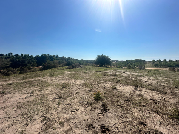 Terreno en venta en Feliciano, La Unión de Isidoro Montes de Oca — foto 2 de 4