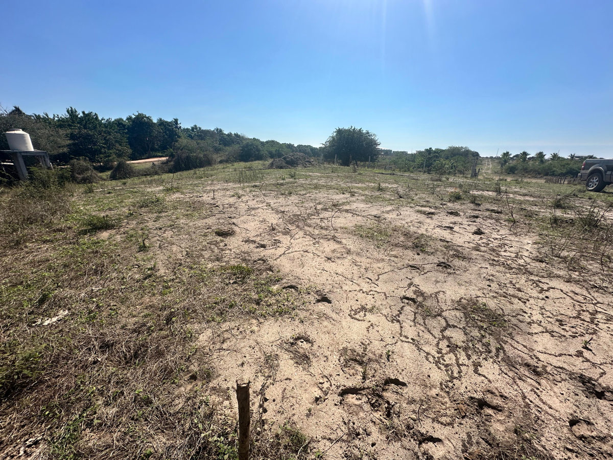 Terreno en venta en Feliciano, La Unión de Isidoro Montes de Oca — foto 1 de 4