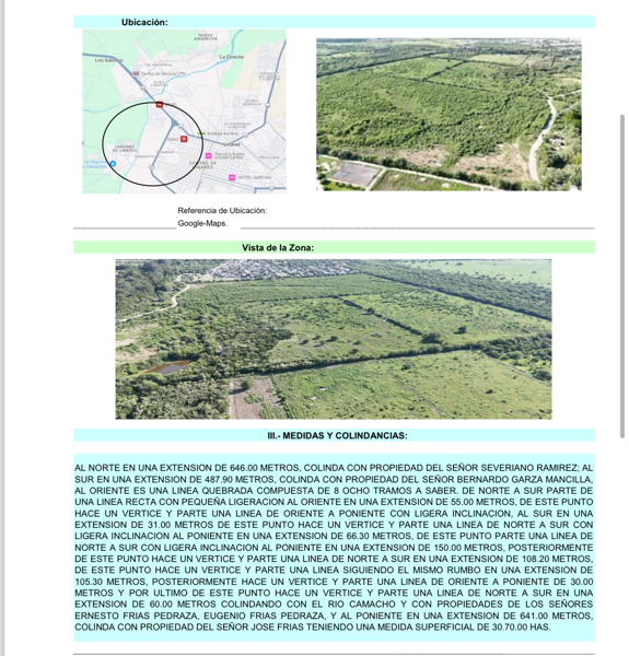 Terreno en venta en Benito Juarez, Linares — foto 3 de 4