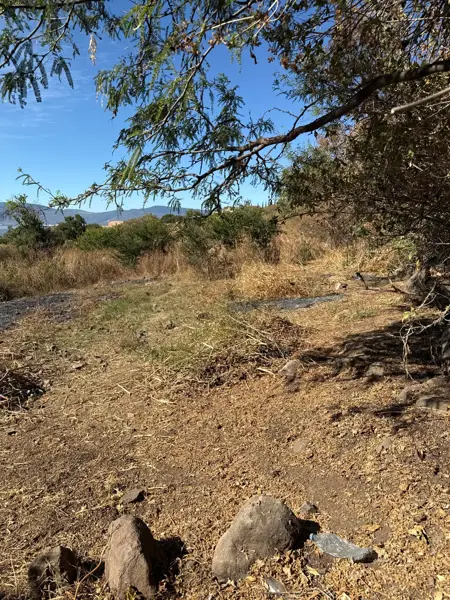 Terreno en venta en San Juan Cosala, Jocotepec — foto 2 de 5