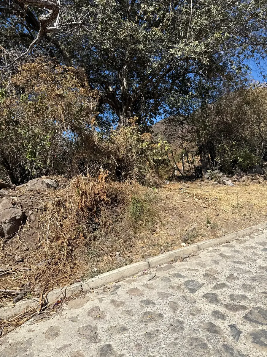 Terreno en venta en San Juan Cosala, Jocotepec — foto 1 de 5