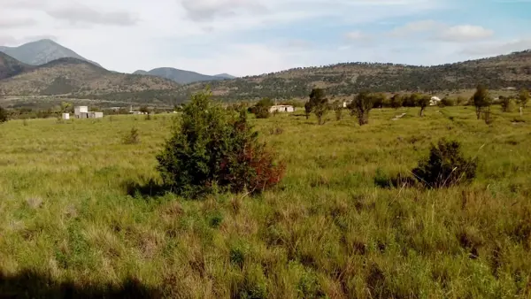 Terreno en venta en Jame, Arteaga — foto 2 de 4